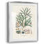 Bright Boy II, reproduction encadrée-1053160254-1053160255-1053160253