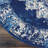 Burnie Oriental Blue/White Area Rug-1160519434