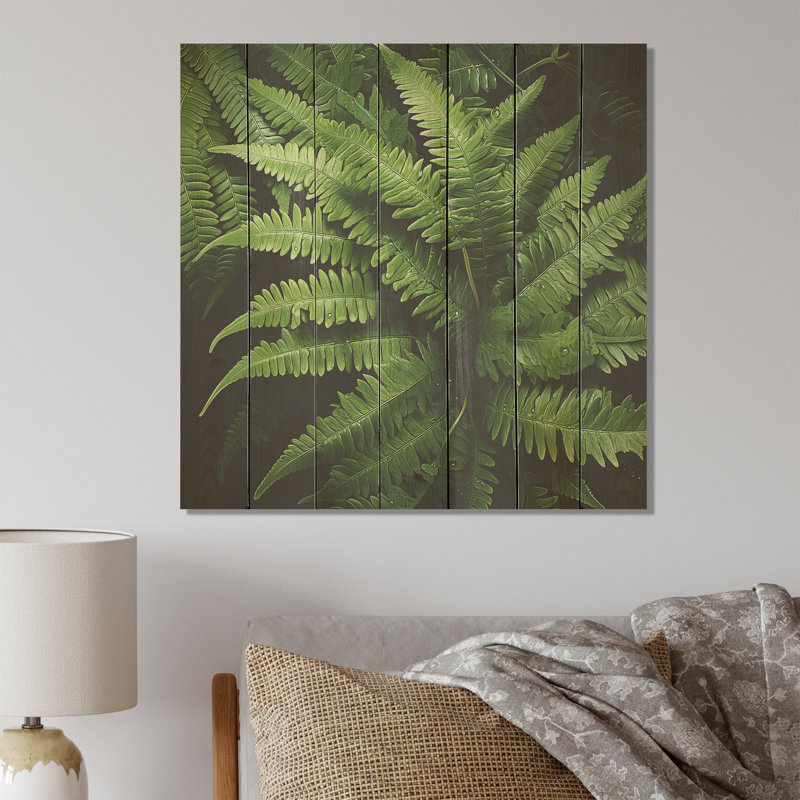 «Green Fern Forest Beauty I» - fougères sur bois, H 15 po x l 15 po