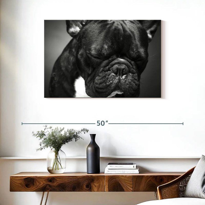 Bouledogue français mélancolique Brampt, H 24 po x l 36 po