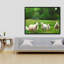 Fields Of Sheep Print On Canvas
