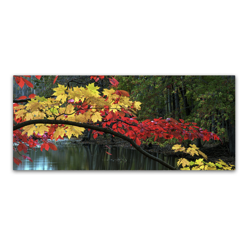 «Autumn Red and Gold», reproduction de photo sur toile tendue, H 14 po x l 32 po x P 2 po