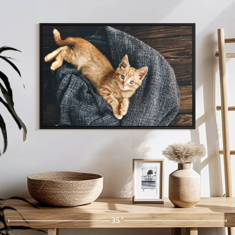 Chat au repos, 43 po x 29 po, Cadre flottant noir