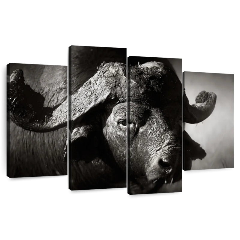 Wild African Buffalo, 22" H x 36" W