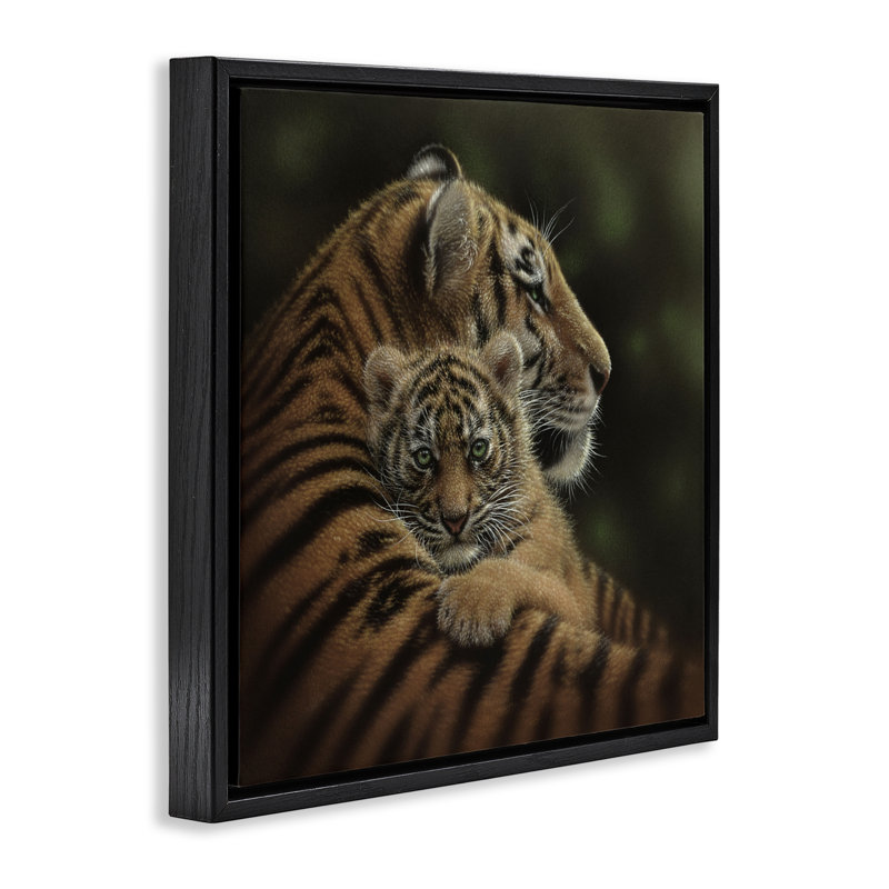 Cherished Tiger Cub Floating Frame, design by Collin Bogle, Jet Black Floater Frame, 18" H x 18" W