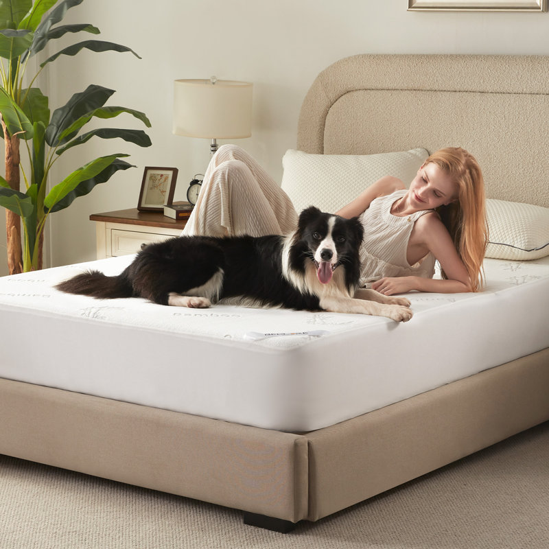 BEDLORE® Noiseless Waterproof Bamboo Mattress Protector, Hypoallergenic 3D Air Fabric Breathable Mattress Cover, Washable Mattress Pad with 6"-18" Deep Pocket