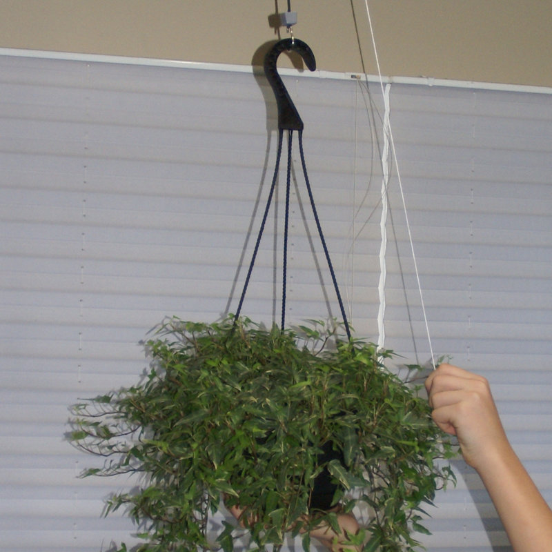 Nobles Bracket Plant Stand