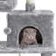 Cat Tree-198437440