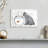 Goldfish And Cat-107886787