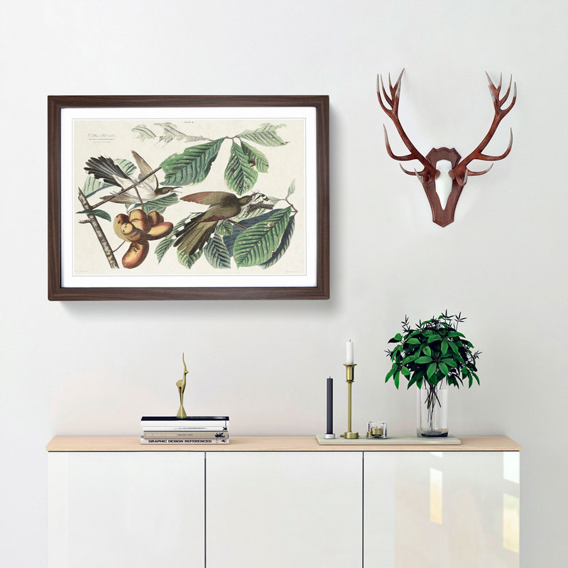 Yellow-Billed Cuckoo Birds by John Audubon - Picture Frame Painting Print, Walnut Framed, 36cm H x 48cm W x 2cm D