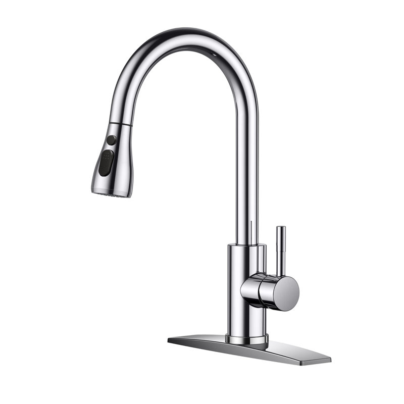 Pull Down Kitchen Faucet With Deck Plate, Stainless Steel