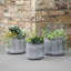 Bethke Pot Planter