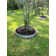 Metal Lawn Edging
