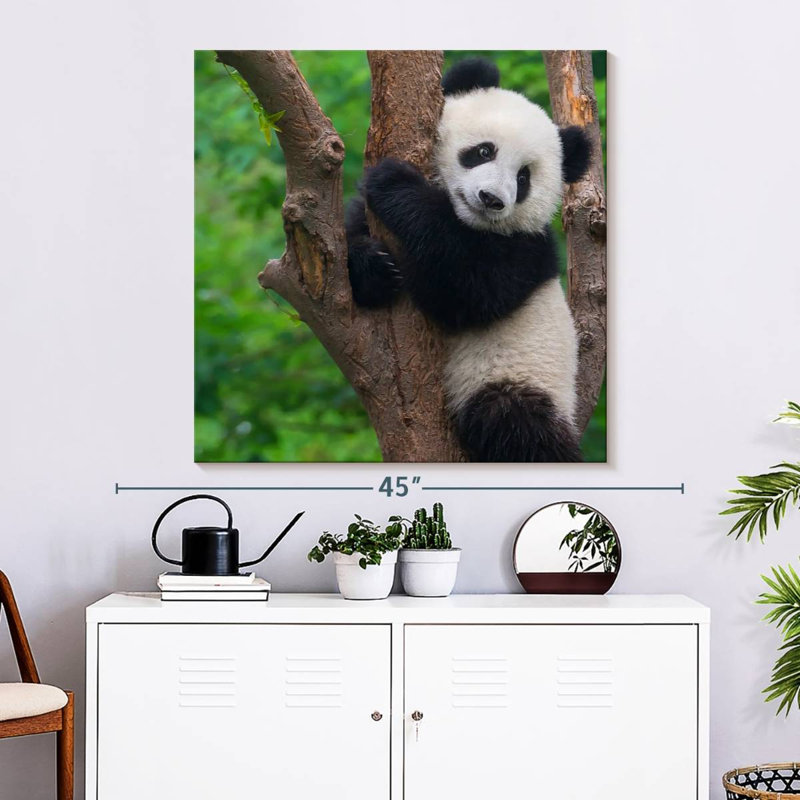 Brampt Adorable Panda, 33" H x 33" W