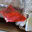 Customer photo 2 of 7