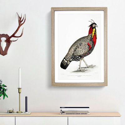 Horned Pheasant by John Edward Gray - Picture Frame Painting Print