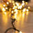 77cm Indoor / Outdoor String Lights