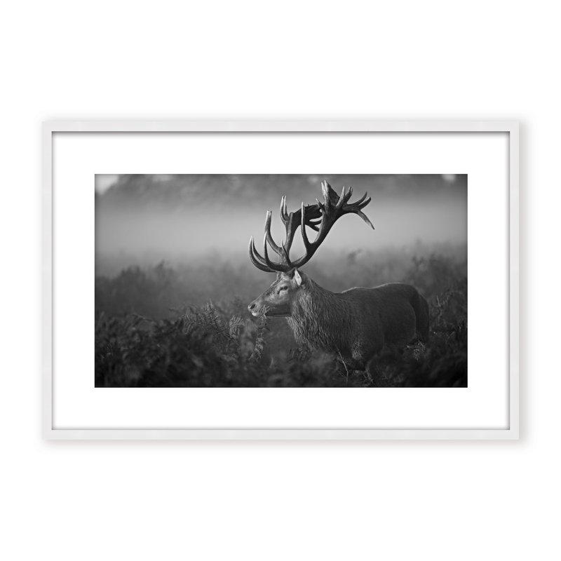 Nature Inspired Sunny Morning by  - Picture Frame Photograph on Paper, 32" H x 48" W x 1.125" D, Framed Matted Print, Black
