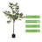 Artificial Eucalyptus Tree In Plastic Nursery Pot-1395723988