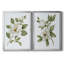 «Magnolia Morning I», toile encadrée de qualité supérieure - prête à être accrochée-1603279575-1603279572