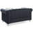 Stylish Contemporary Loveseat In Black-2008260064