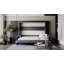 Neidelin Upholstered Bed-531732156