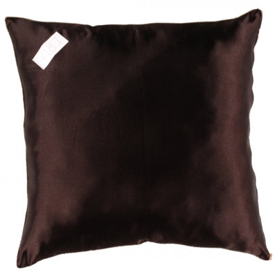 Paisley Throw Pillow