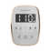 ButlerTouch Steam Shower Control Package with TempoTouch Control and Steamhead in Polished Nickel