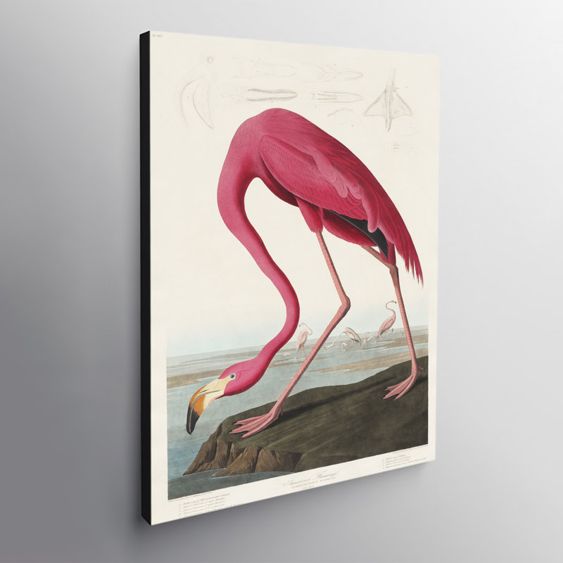 Pink Flamingo Vintage - Wrapped Canvas Print, 117cm H x 81cm W x 4cm D