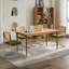 Ensemble de 2 chaises d'appoint Mid-Century-33157849