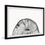 Withered Stump by Marmont Hill - Single Picture Frame Painting-591943147