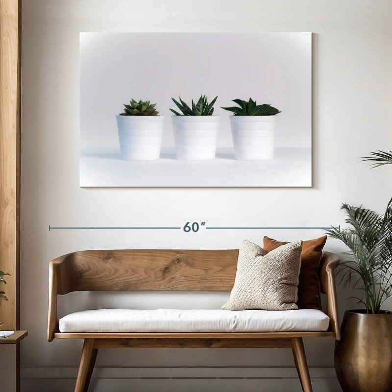 Harnek Three Succulents, H 32 po x l 48 po