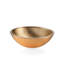 Acquaio 16.7'' L Bathroom Sink-4167573-4761314