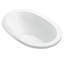 Adena 1 59.5" Whirlpool Bathtub-1793771884-1868257698