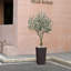 Olive artificielle Adcock résistante aux rayons UV avec grand pot de fleurs, olivier artificiel pour la décoration extérieure-1315299339-1310085053