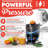 Gourmia Automatic Electri Citrus Juicer, Hands Free, Universal Cone, Quiet Motor