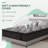 9'' Medium Hybrid Mattress with Gel Memory Foam Individual Pocket Springs Mattress in a Box-189070753-189013667