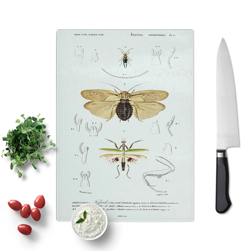Tempered Glass Insect of Illustrations PL. 1 by Charles D' Orbigny Chopping Board, 28.5 cm x 39 cm