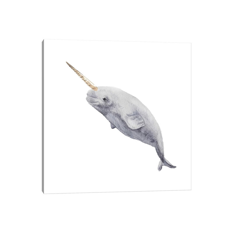 Narwhal by Wandering Laur - Wrapped Canvas Print, 30.48 cm H x 30.48 cm W