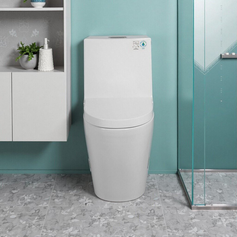 Modern One-Piece Toilet With Dual-Flush, Elongated Comfort Height, Soft-Closing Seat, Ceramic, White
