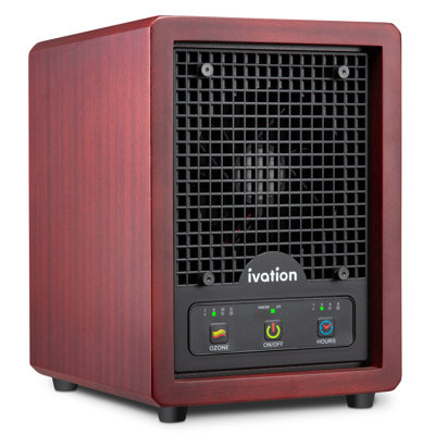Purificateur d'air portable