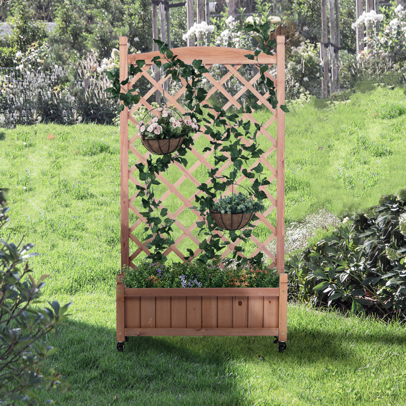 Lit de jardin surélevé avec treillis - paquet de 2 - jardinière en bois pour l'extérieur et support pour plante 30 couches