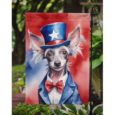 Drapeau patriotique du jardin américain