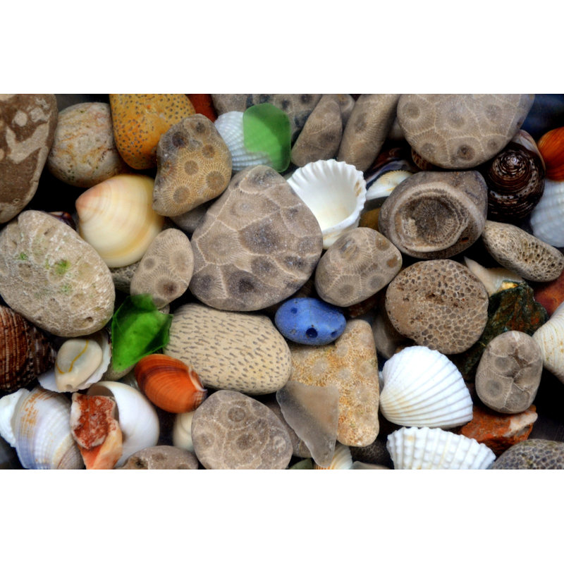 Petoskey Stones III by Michelle Calkins - Wrapped Canvas Print, 20cm H x 30cm W