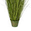 Herbe verte et marguerites artificielles en pot.-2003244729