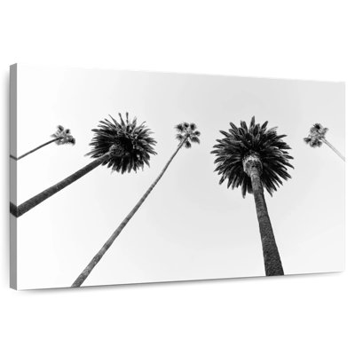 Harnek - Californie noire - Cinq palmiers