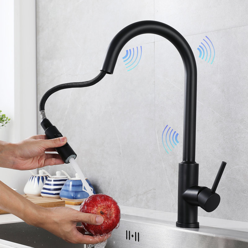 Robinet de cuisine Wareokol, Noir mat