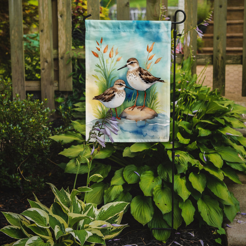 Drapeau de jardin Surfbird Bird, Bécasseaux