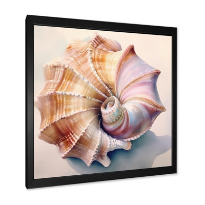 Coastal Seashell II - Animals Canvas Prints