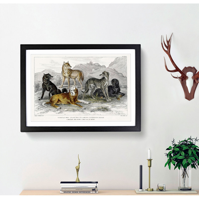 Wolves & Hounds by Oliver Goldsmith - Picture Frame Painting Print, Black Framed, 36cm H x 48cm W x 2cm D
